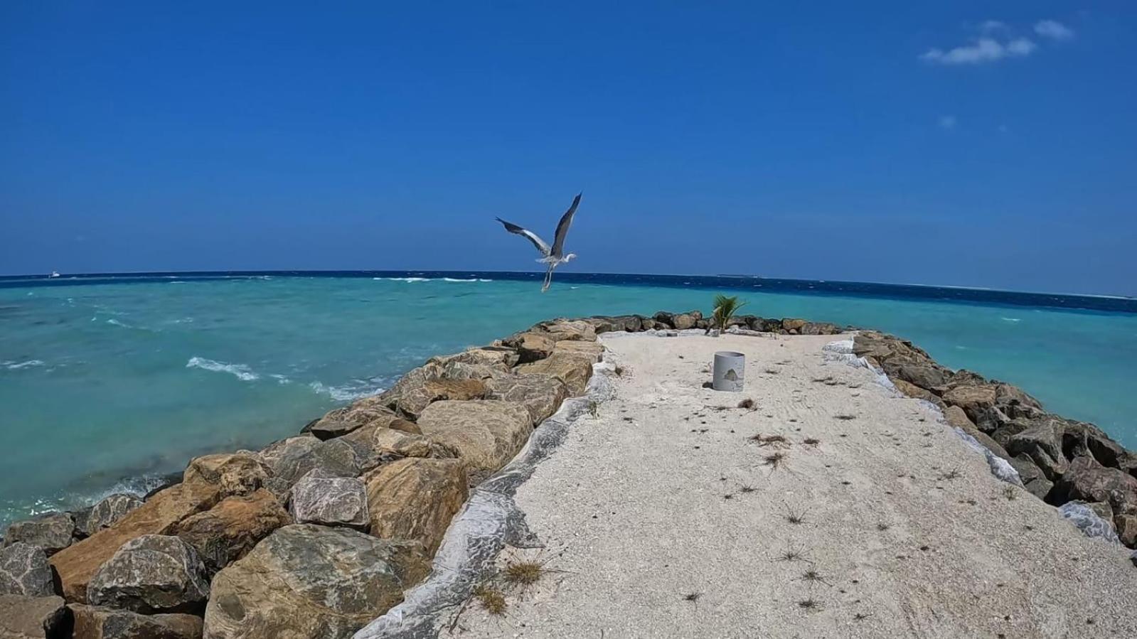 Rashuthere Maldives Rasdhoo Exteriör bild